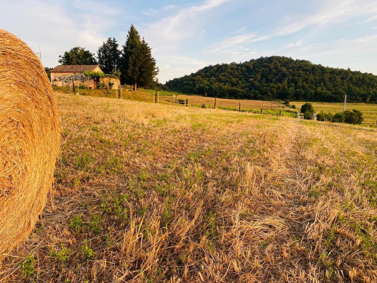 Podere La Selva ราโปลาโนแตร์เม ภายนอก รูปภาพ