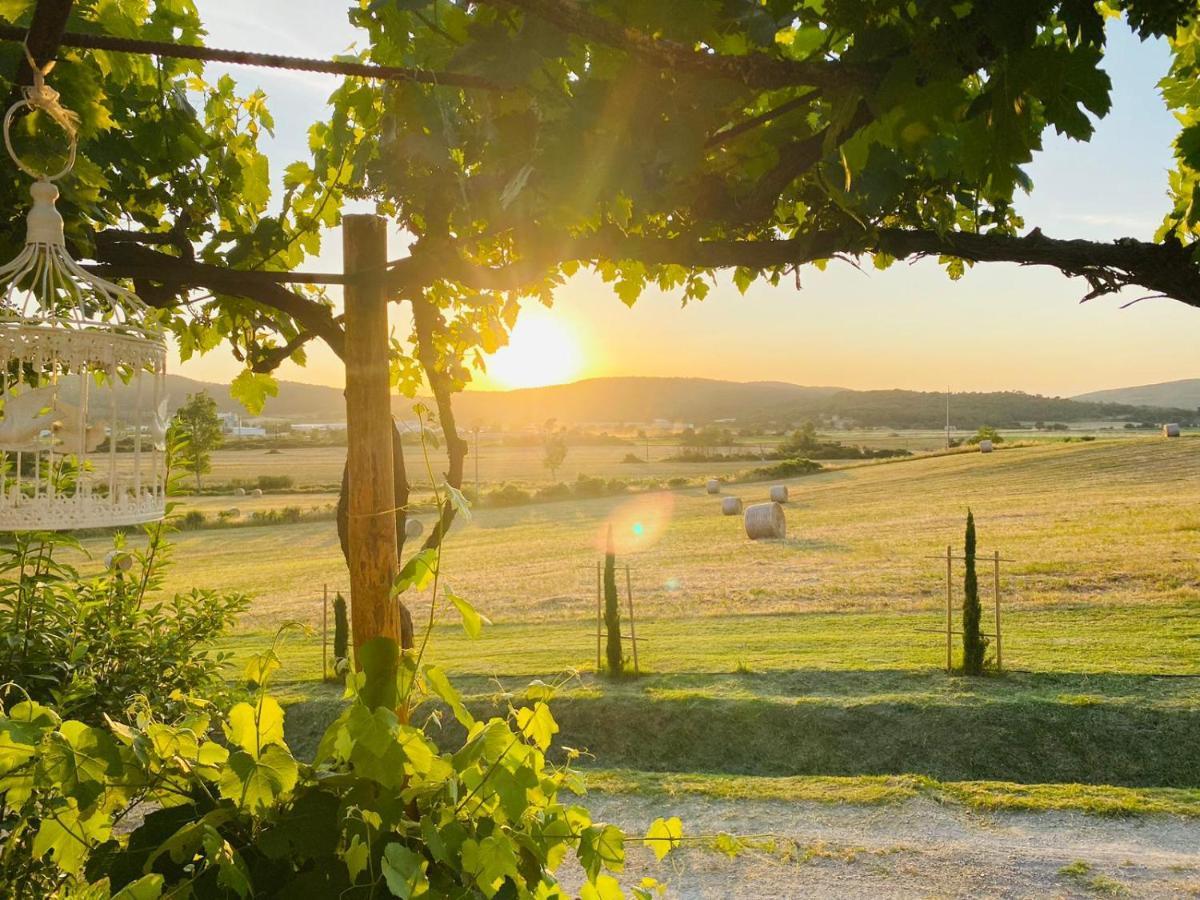 Podere La Selva ราโปลาโนแตร์เม ภายนอก รูปภาพ