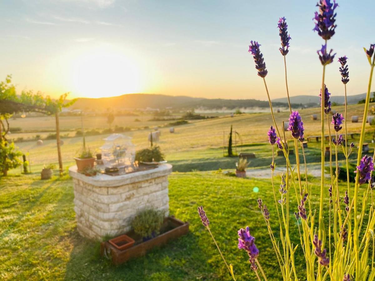 Podere La Selva ราโปลาโนแตร์เม ภายนอก รูปภาพ