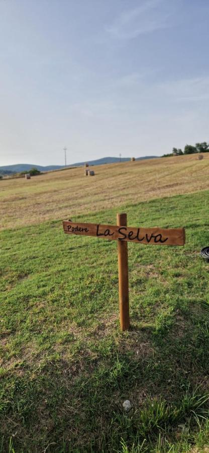 Podere La Selva ราโปลาโนแตร์เม ภายนอก รูปภาพ