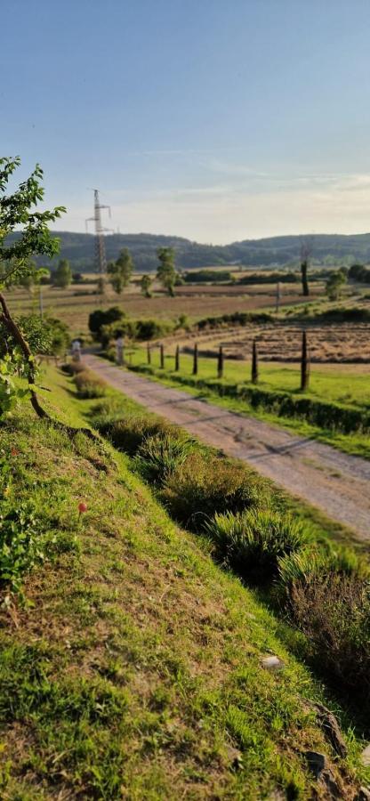 Podere La Selva ราโปลาโนแตร์เม ภายนอก รูปภาพ