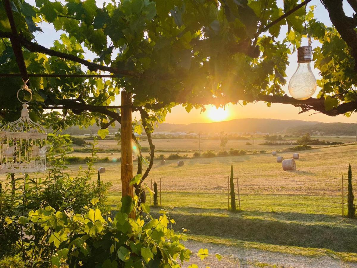 Podere La Selva ราโปลาโนแตร์เม ภายนอก รูปภาพ