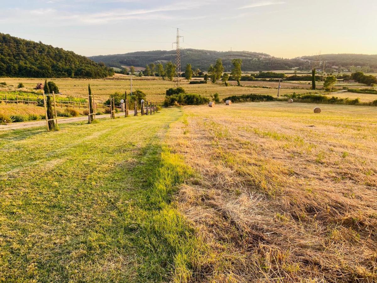 Podere La Selva ราโปลาโนแตร์เม ภายนอก รูปภาพ