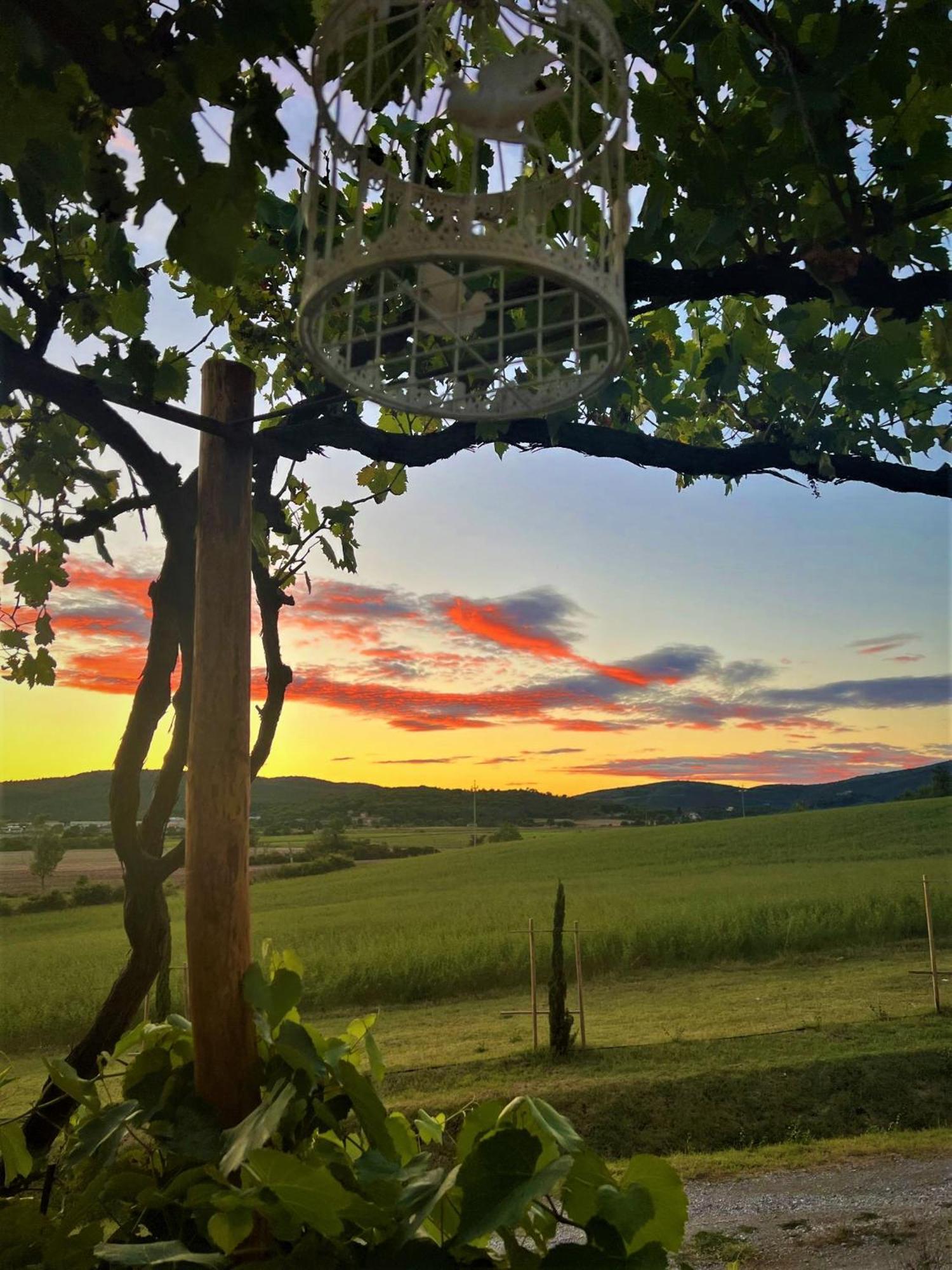 Podere La Selva ราโปลาโนแตร์เม ภายนอก รูปภาพ